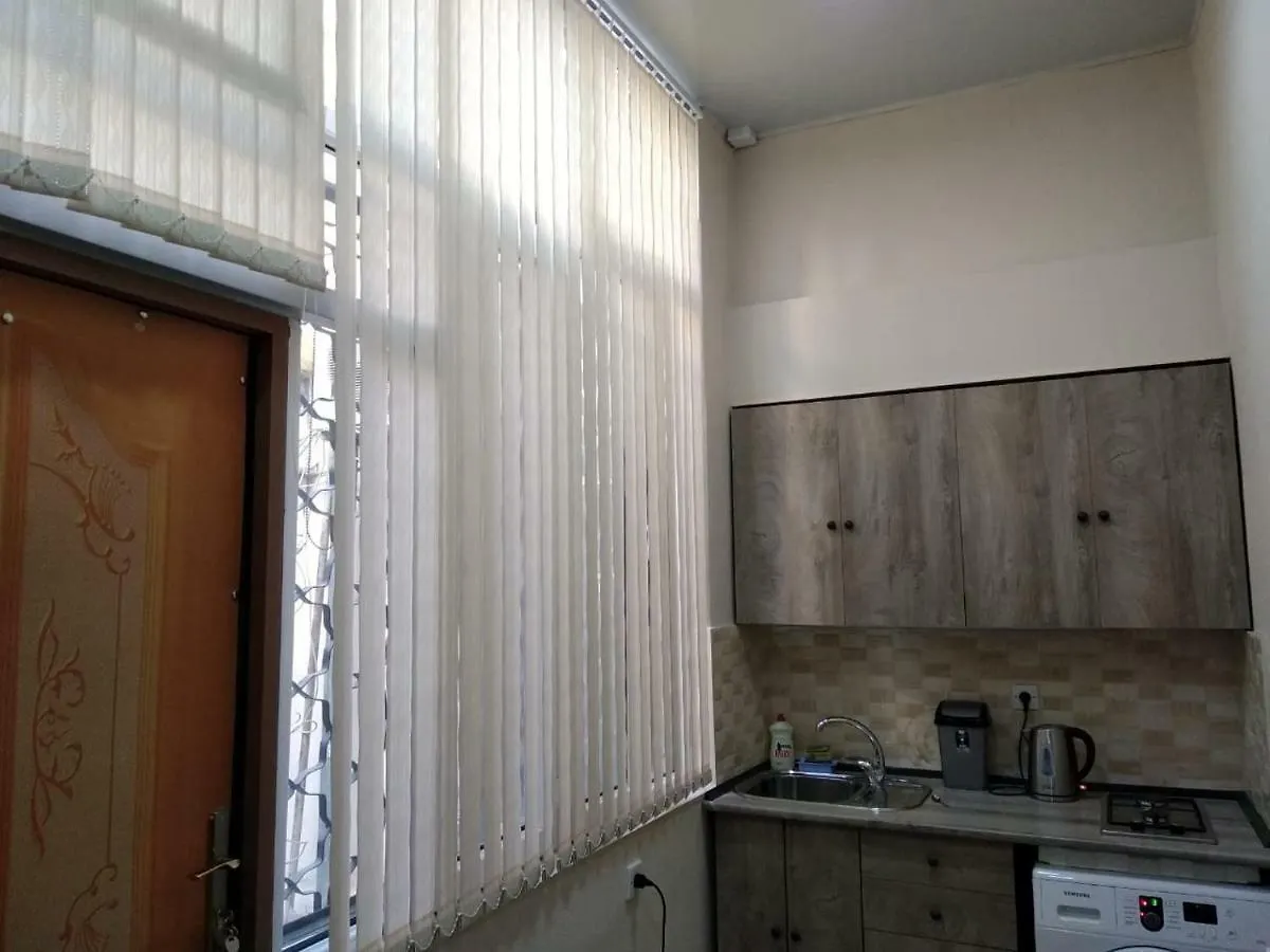 Apartment On The Delara Aliyeva Street 巴库