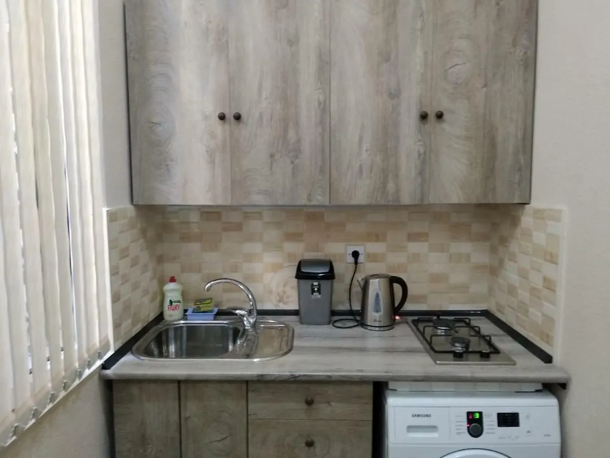 Apartment On The Delara Aliyeva Street 巴库